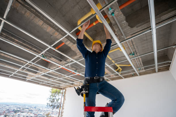 Best Commercial Plumbing Services  in Elk River, MN